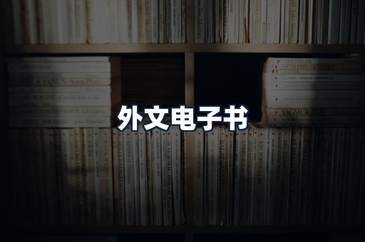 外文电子书